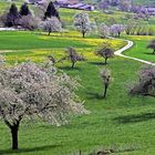 Frühling im Marktgräfler Land 4