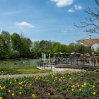 Frühling im Maxi-Park Hamm.  (Festplatten Fund)