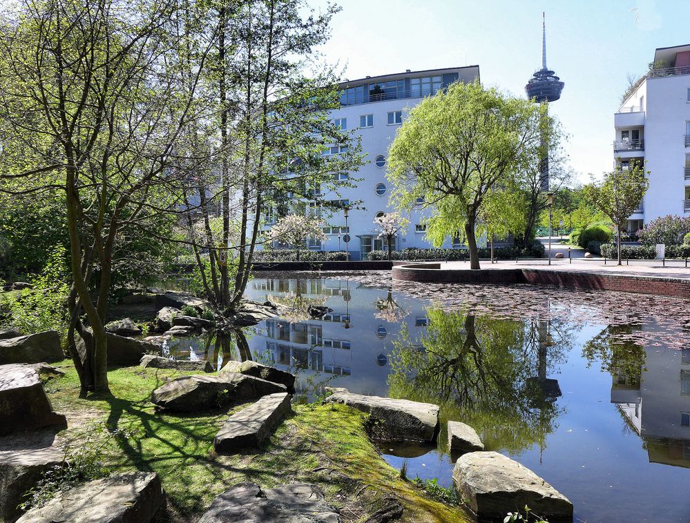 Frühling im Mediapark