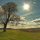 Frühling im Mindeltal