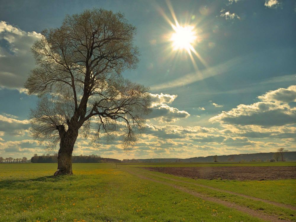 Frühling im Mindeltal