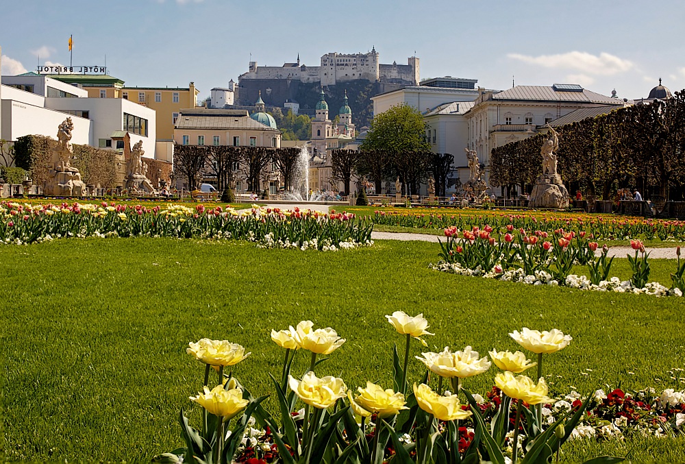 Frühling im Mirabellgarten