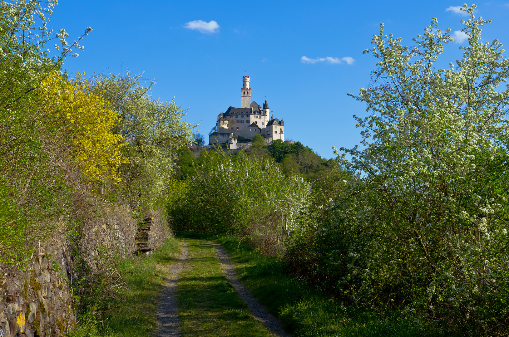 Frühling im Mittelrheintal, Marksburg