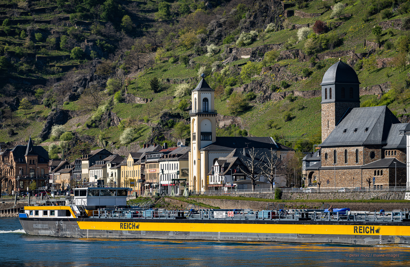 Frühling im Mittelrheintal - Reich auf dem Rhein zwischen St. Goar und St. Goarshausen