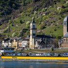 Frühling im Mittelrheintal - Reich auf dem Rhein zwischen St. Goar und St. Goarshausen