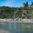 Frühling im Mittelrheintal - Sankt Goarshausen mit Burg Katz