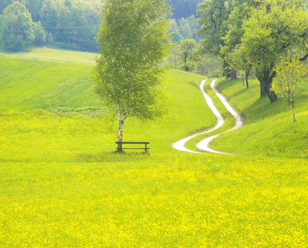 Frühling im Mostviertel