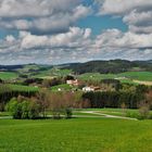 Frühling im Mühlviertel