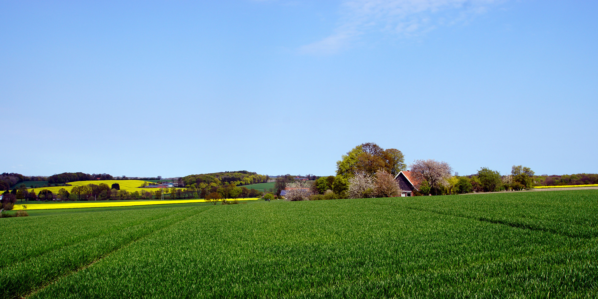 Frühling im Münsterland