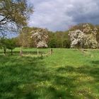 Frühling im Münsterland