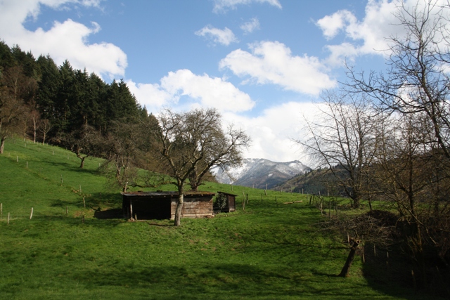 Frühling im Münstertal (Südschwarzwald)