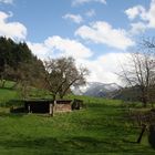 Frühling im Münstertal (Südschwarzwald)