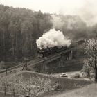 Frühling im Muldental .