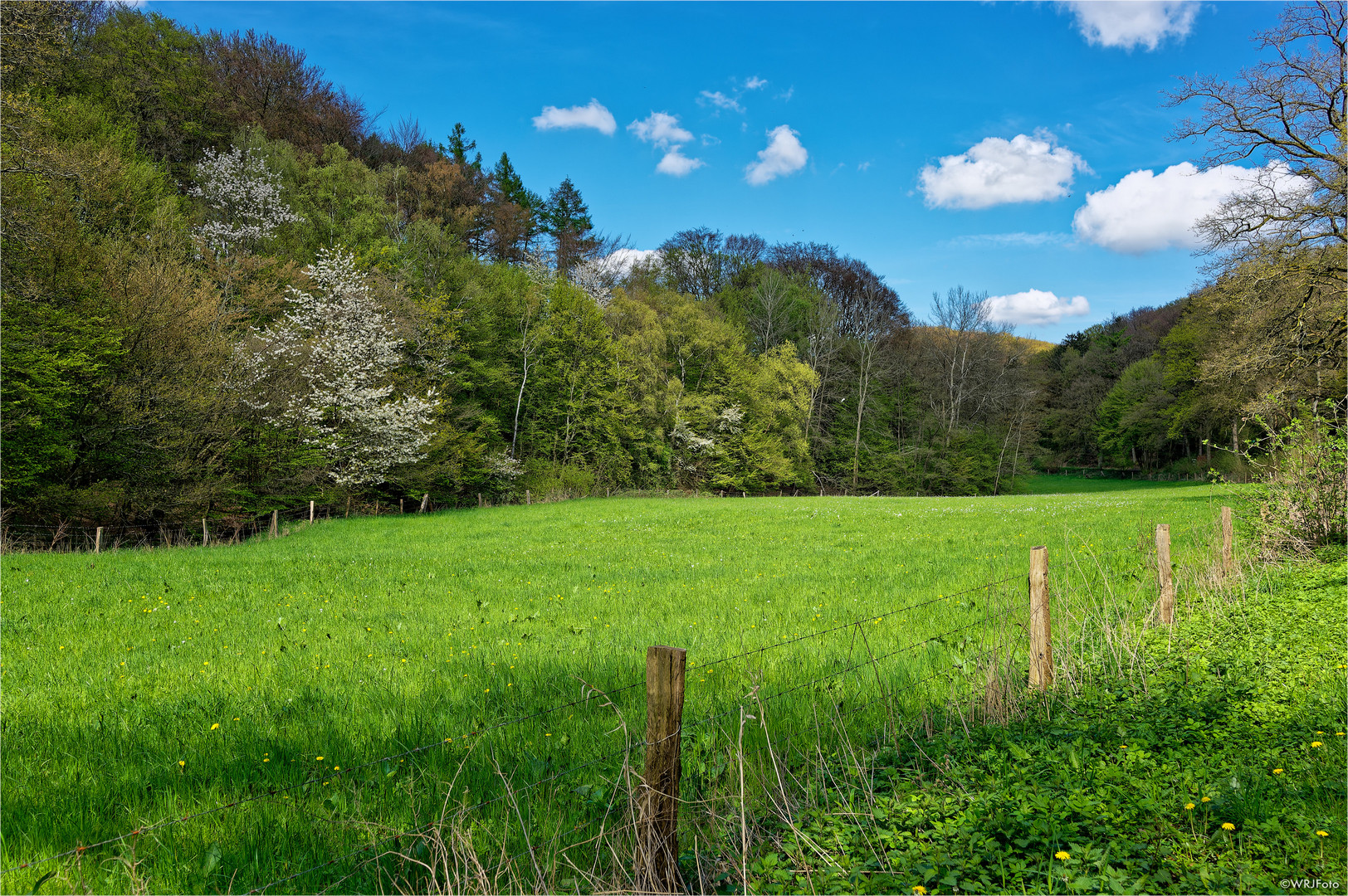 Frühling im Muttental