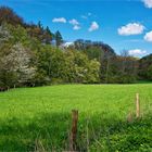 Frühling im Muttental