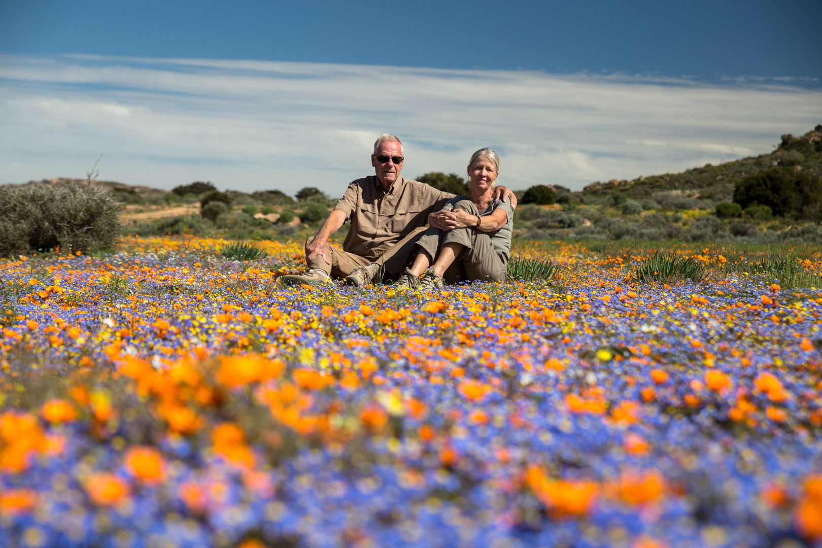 Frühling im Namaqualand