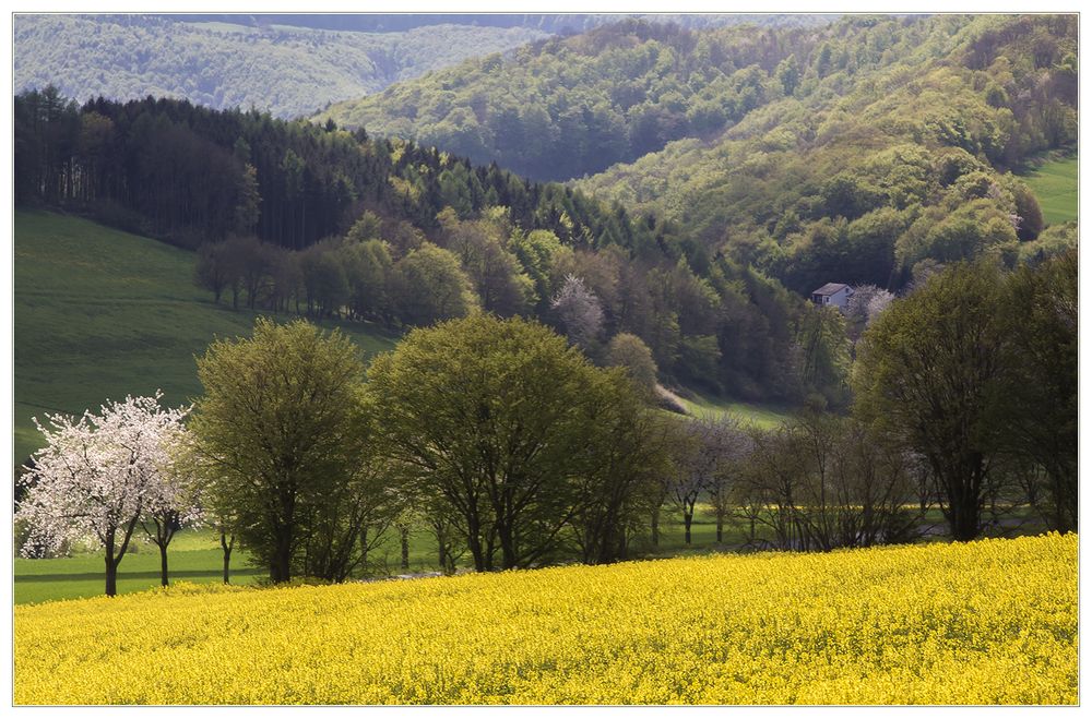 Frühling im Naturpark Solling-Vogler - oder: ...das versteckte Haus...