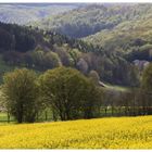 Frühling im Naturpark Solling-Vogler - oder: ...das versteckte Haus...