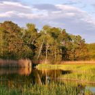 Frühling im Naturschutz