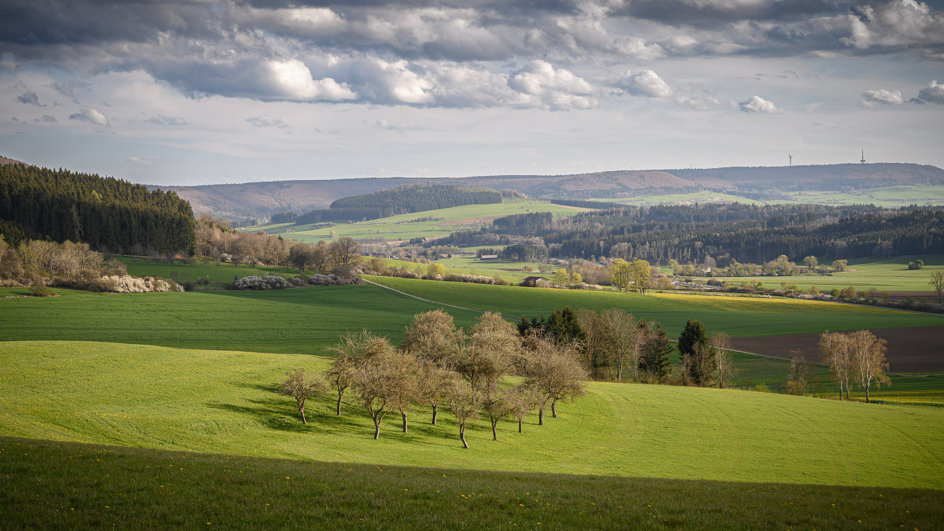 Frühling im Naturschutzgebiet Albtrauf