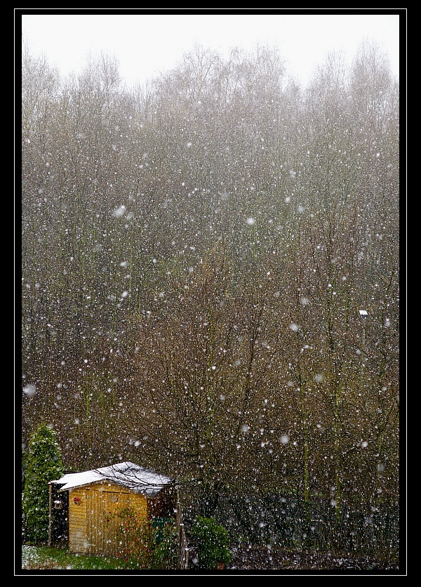 Frühling im Neandertal - heute Schnee!