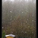 Frühling im Neandertal - heute Schnee!