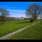 Frühling im Neandertal - vorgestern