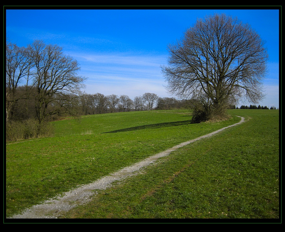 Frühling im Neandertal - vorgestern