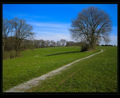 Frühling im Neandertal - vorgestern