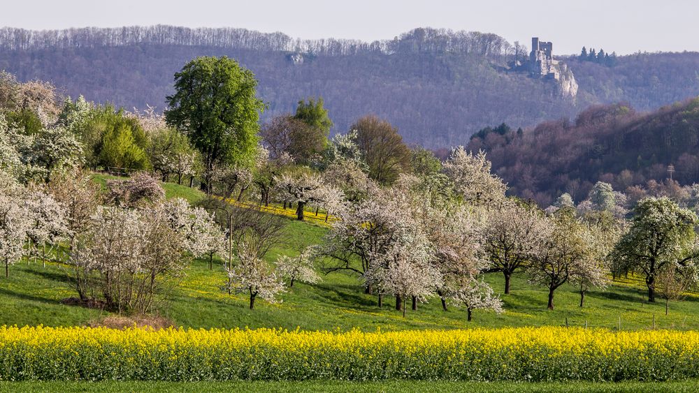 Frühling im Neidlinger Tal