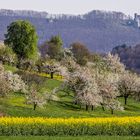 Frühling im Neidlinger Tal