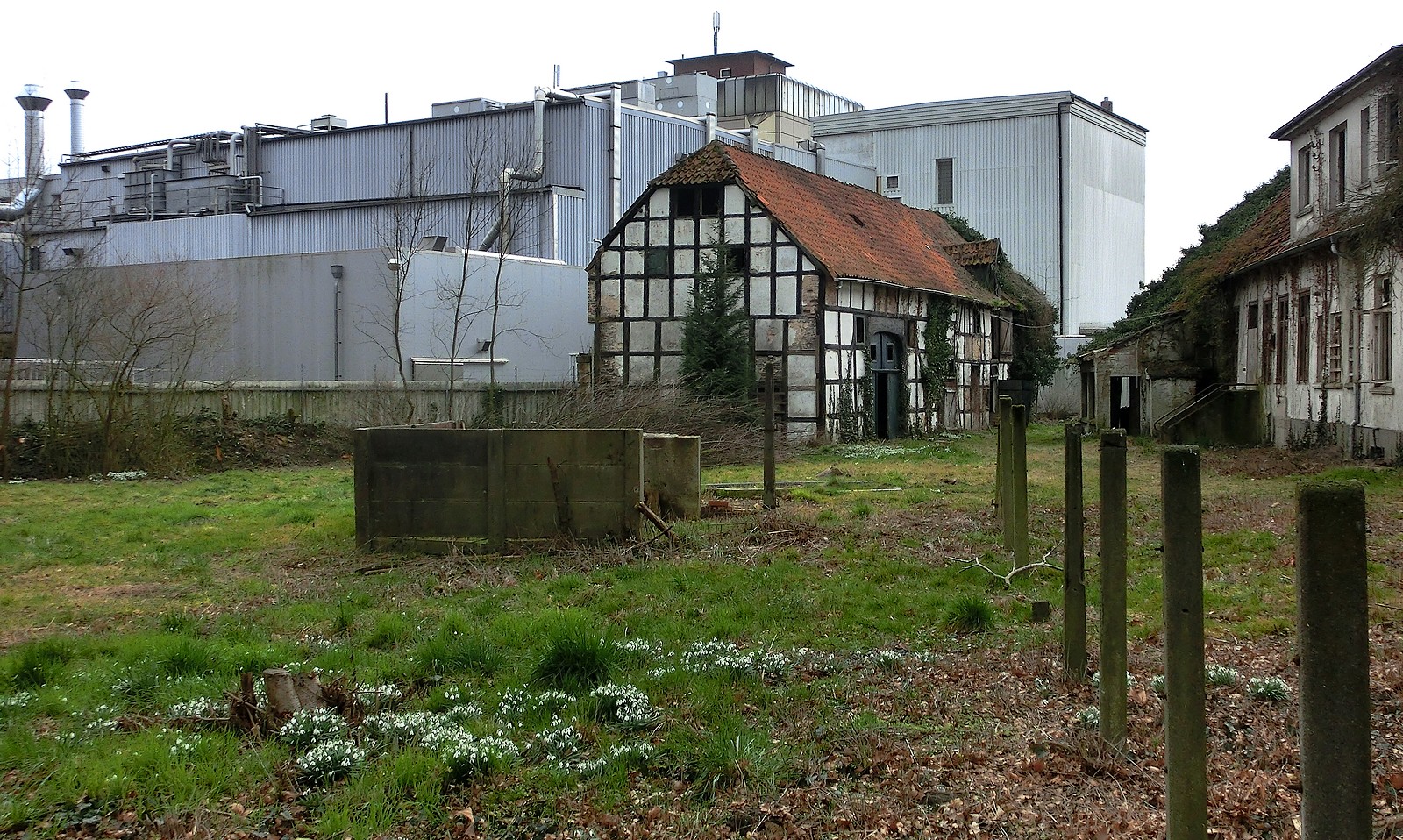 Frühling im Niemandsland