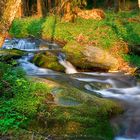 Frühling im Nierbachtal