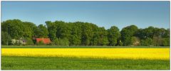 Frühling im Norden