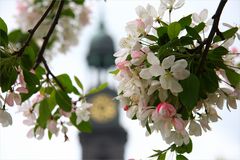 Frühling im Norden