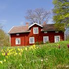 Frühling im Norden...