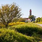 Frühling im Norden der Insel / Rügen 