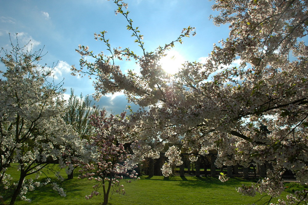 Frühling im Nordpark