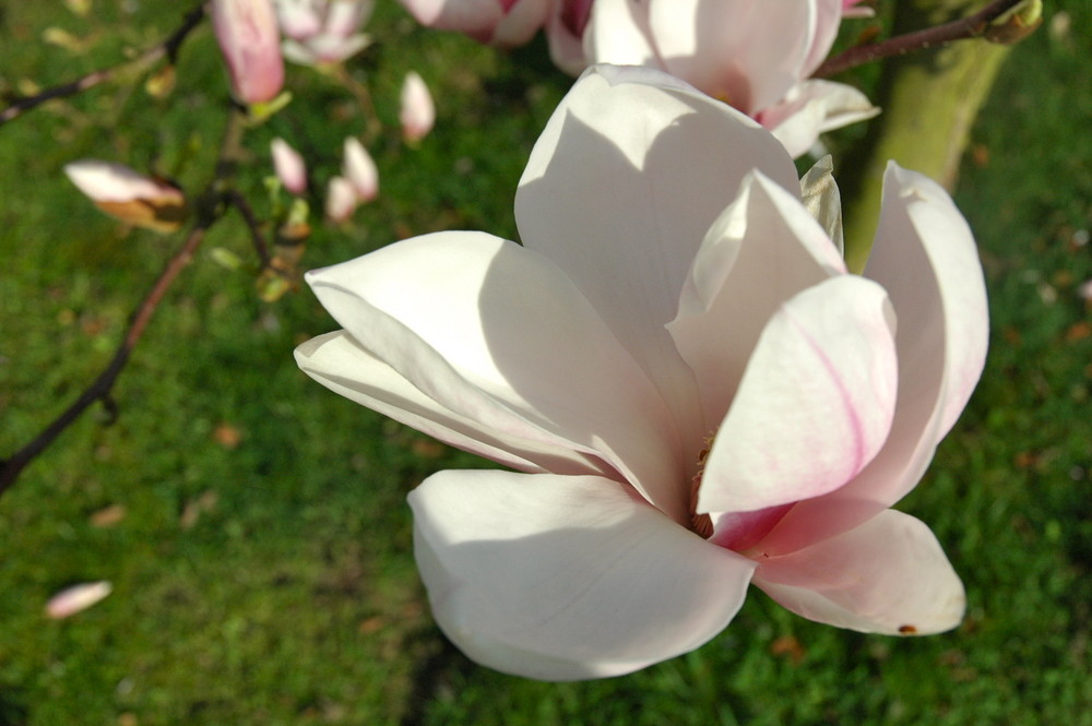 Frühling im Nordpark 2