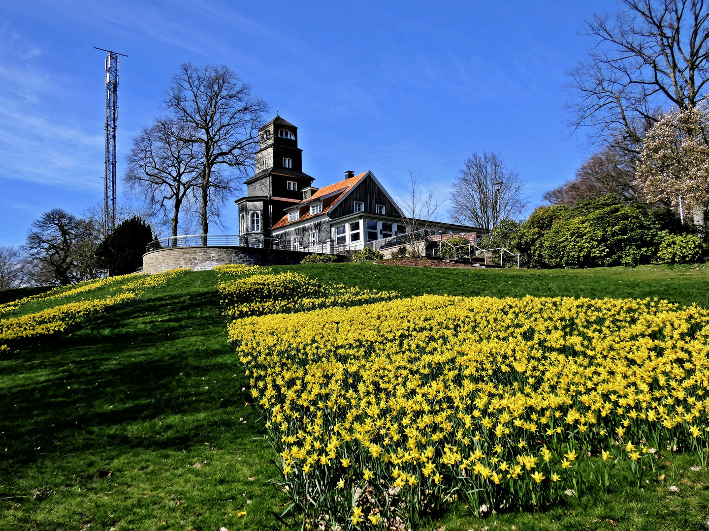 Frühling im Nordpark Wuppertal