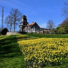 Frühling im Nordpark Wuppertal