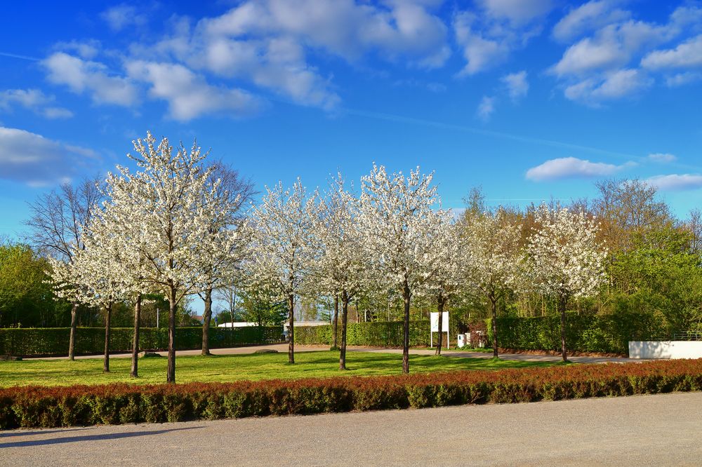 Frühling im Nordsternpark in Gelsenkirchen