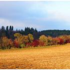 Frühling im November