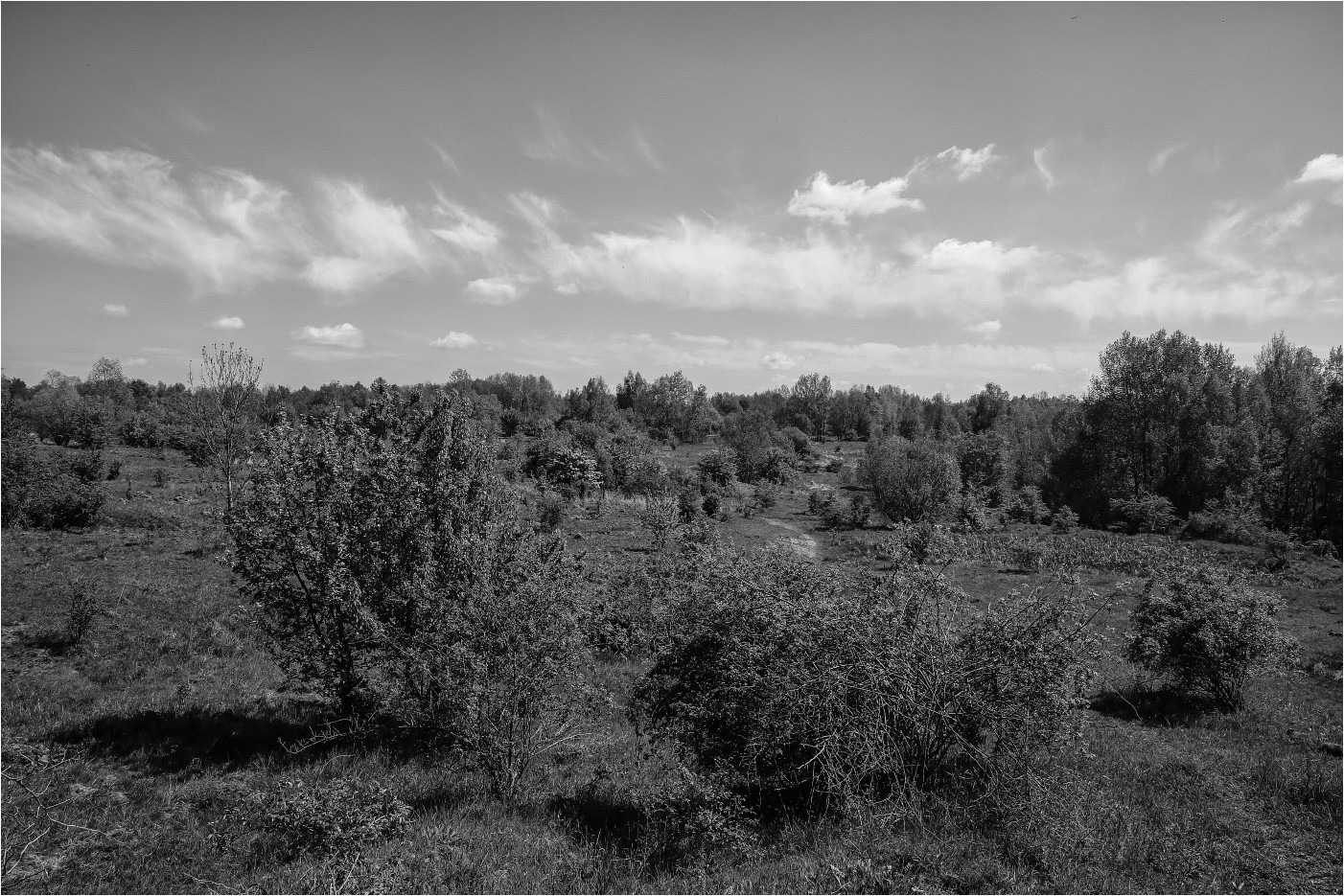 Frühling im NSG 