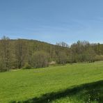 Frühling im NSG Oberes Dombachtal 07