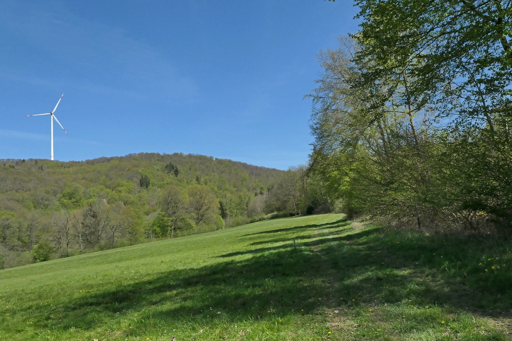 Frühling im NSG Oberes Dombachtal 12