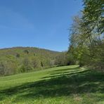 Frühling im NSG Oberes Dombachtal 12