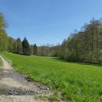 Frühling im NSG Oberes Dombachtal 16