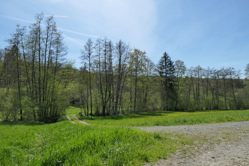 Frühling im NSG Oberes Dombachtal 17