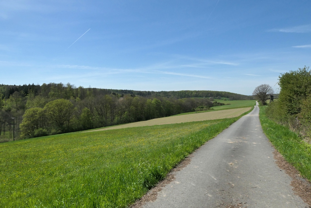 Frühling im NSG Oberes Dombachtal 18